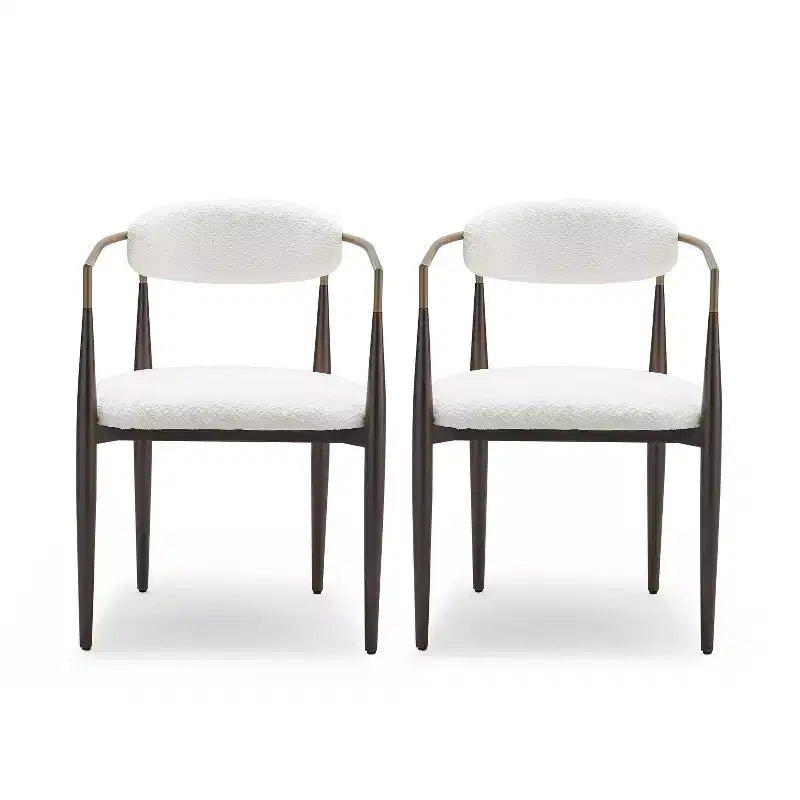 Christopher Knight Home Teuvo Sedie da pranzo moderne in ferro rivestite in tessuto (Set di 2)