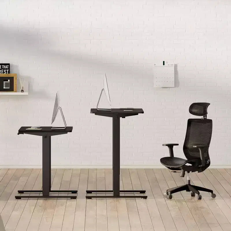 Scrivania Elettrica Regolabile in Altezza, Pezzo Unico, Scrivania per Ufficio Domestico, Postazione di Lavoro per Computer, Scrivania Sit-Stand