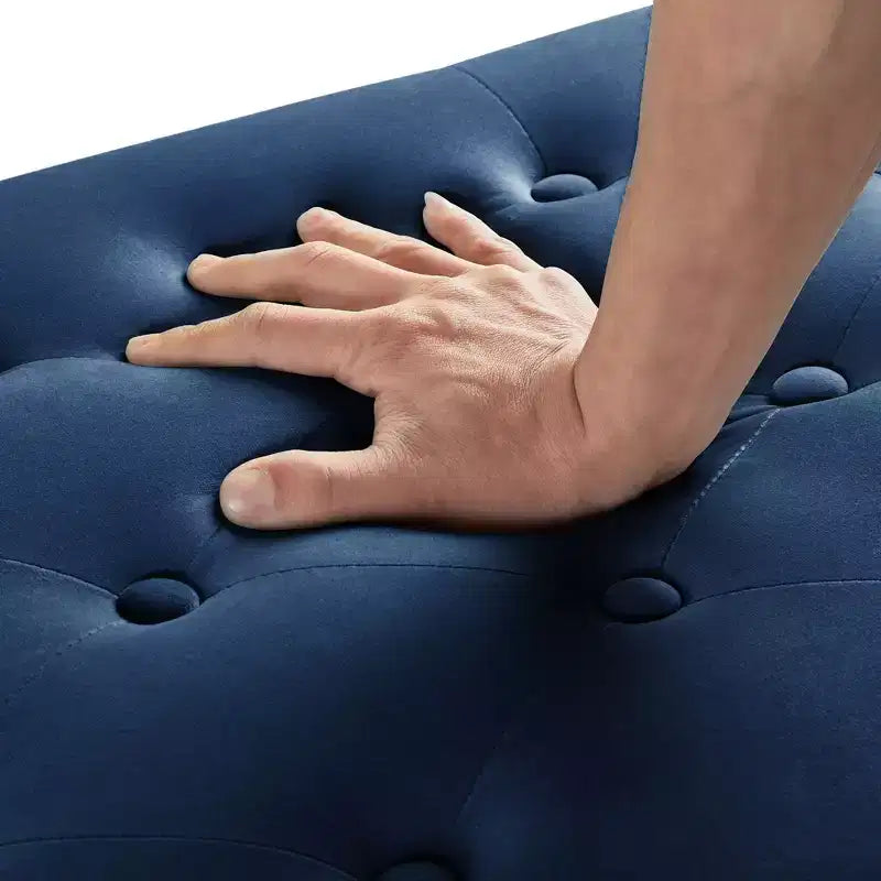 Panca contenitore TUYOHW rivestita in tessuto, con bottoni e bordi borchiati, sedile morbido imbottito con braccioli per ingresso e soggiorno, blu navy