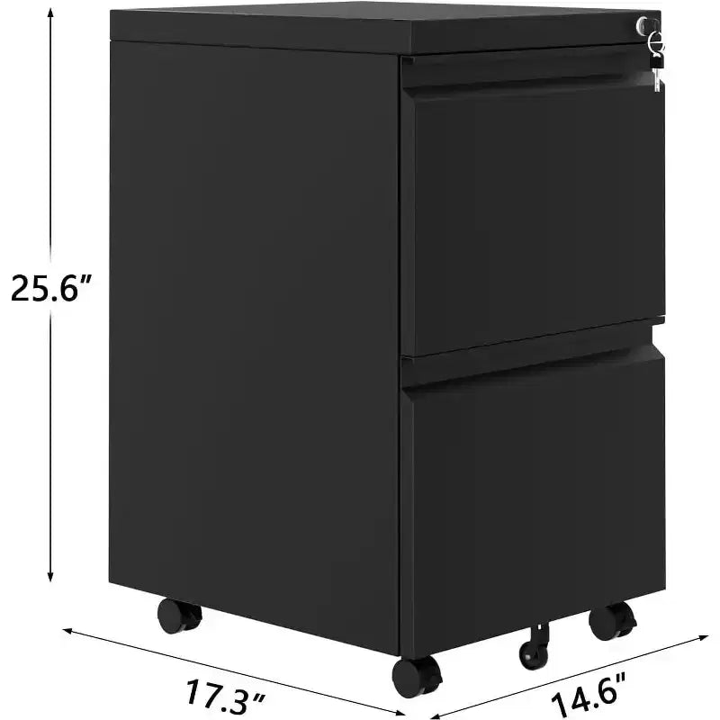 Acekool Armadietto Verticale a 2 Cassetti con Serratura, Organizzatore di Documenti in Metallo per Ufficio Domestico o Bagno, Formato Letter/Legale, Nero