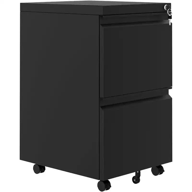 Acekool Armadietto Verticale a 2 Cassetti con Serratura, Organizzatore di Documenti in Metallo per Ufficio Domestico o Bagno, Formato Letter/Legale, Nero