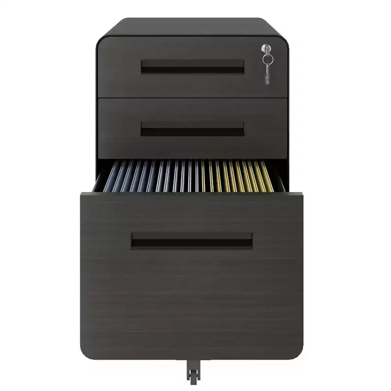 Classificatore mobile VIYET 23H con serratura - Tutto in acciaio, completamente assemblato, design antiribaltamento e ruote bloccabili, adatto per A4/Letter, per casa/ufficio (Nero)