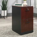 2-Drawer Mobile File Cabinet - Timber Oak & Black